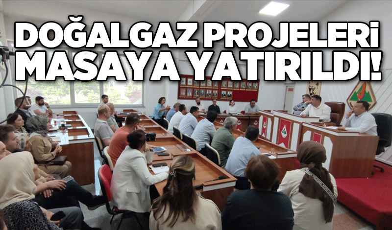 Doğalgaz projeleri masaya yatırıldı!