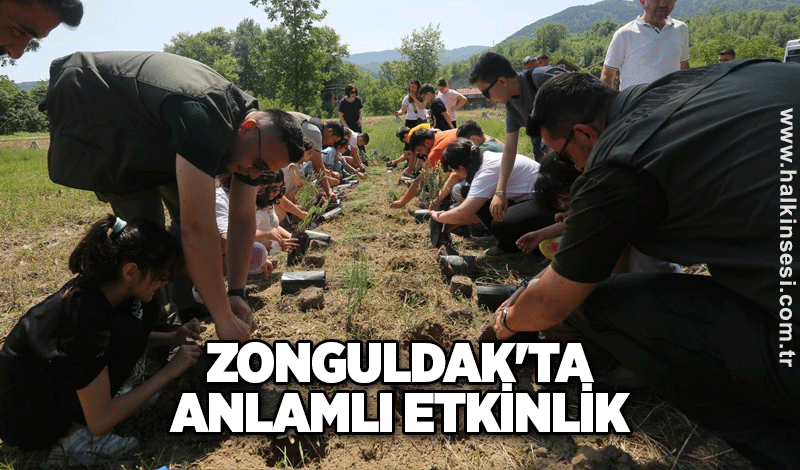 Zonguldak'ta anlamlı etkinlik