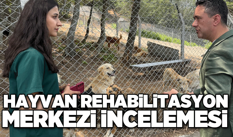 Hayvan Rehabilitasyon Merkezi İncelemesi