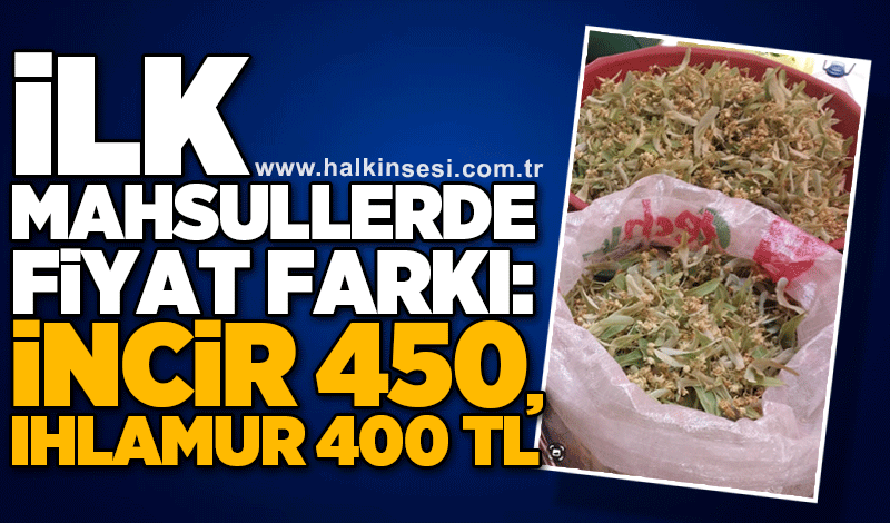 İlk mahsullerde fiyat farkı: İncir 450, Ihlamur 400 TL