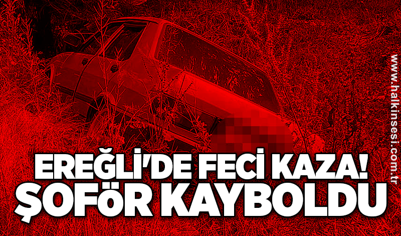 Ereğli'de feci kaza! Şoför kayboldu