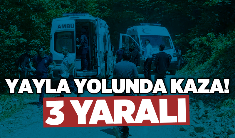 YAYLA YOLUNDA KAZA: 3 YARALI