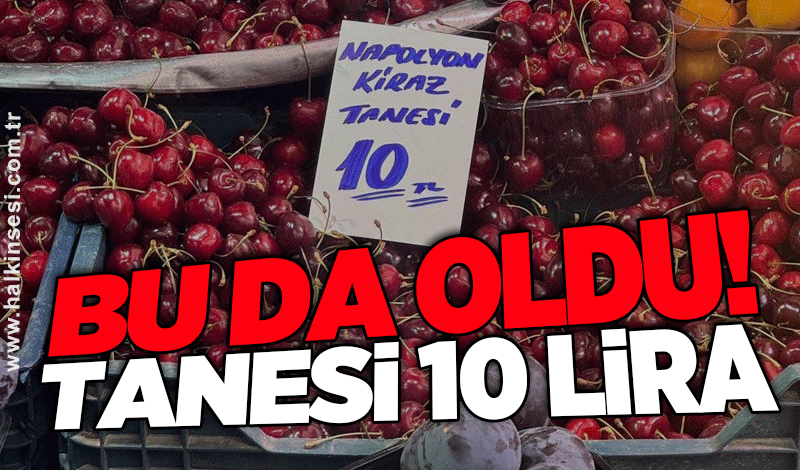 Bu da oldu! Tanesi 10 lira