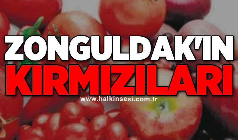 Zonguldak'ın Kırmızıları