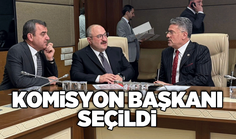 Komisyon başkanı seçildi