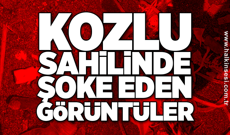 Kozlu sahilinde şoke eden görüntüler