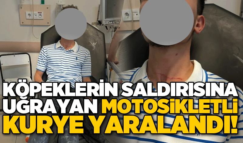 Köpeklerin saldırısına uğrayan motosikletli kurye yaralandı