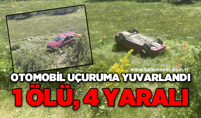 Otomobil uçuruma yuvarlandı: 1 ölü, 4 yaralı