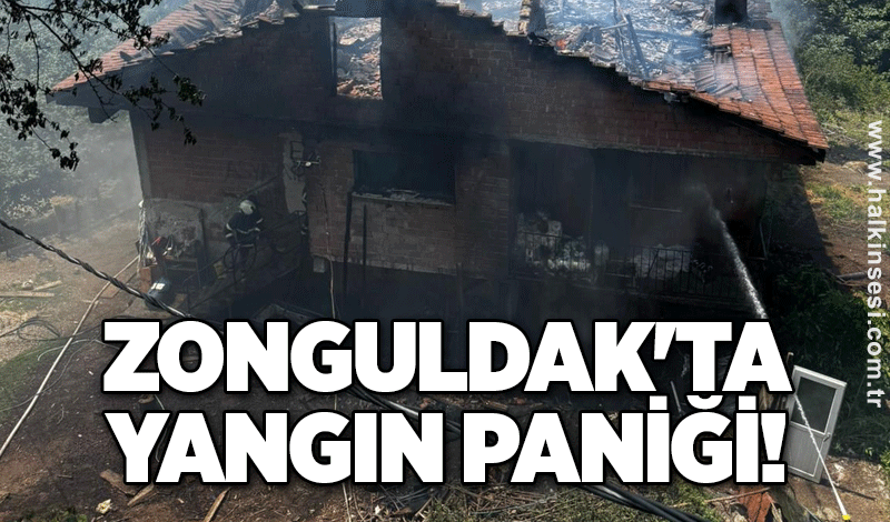 Zonguldak'ta yangın paniği!