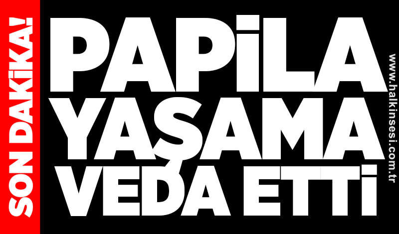 Papila ailesinin acı günü