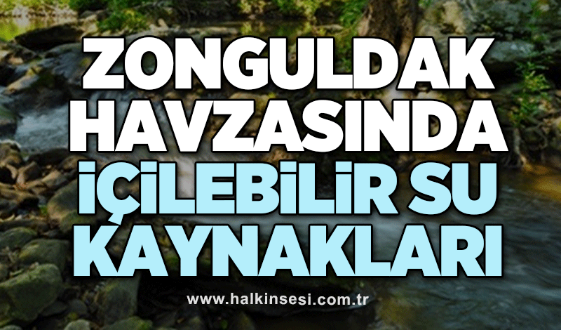 ZONGULDAK HAVZASINDA İÇİLEBİLİR SU KAYNAKLARI