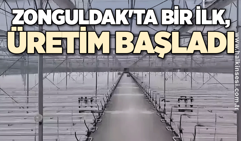 Zonguldak'ta bir ilk, üretim başladı
