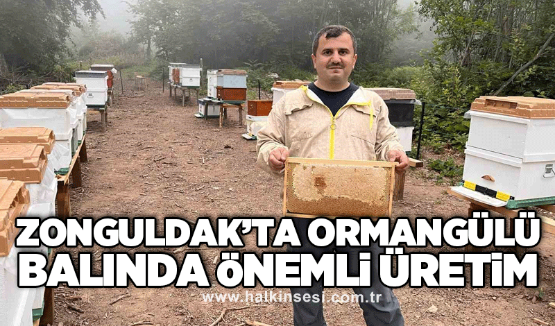 Zonguldak’ta ormangülü balında önemli üretim