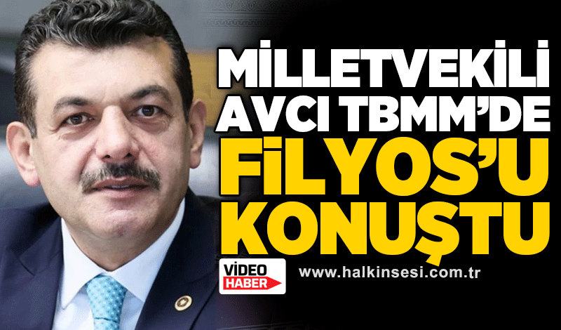 MİLLETVEKİLİ AVCI TBMM’DE FİLYOS’U KONUŞTU