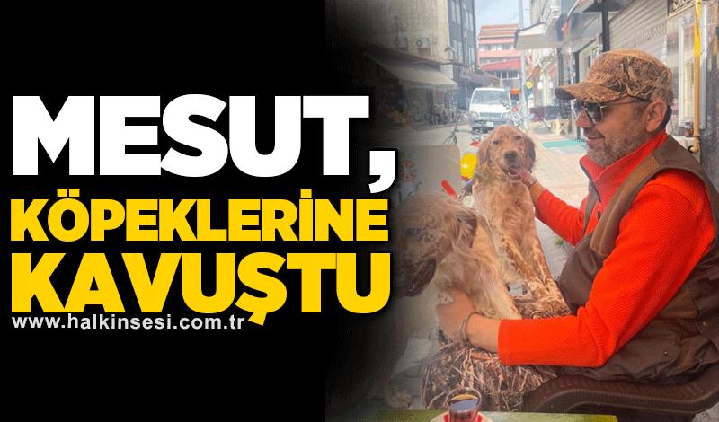 Mesut, Köpeklerine kavuştu