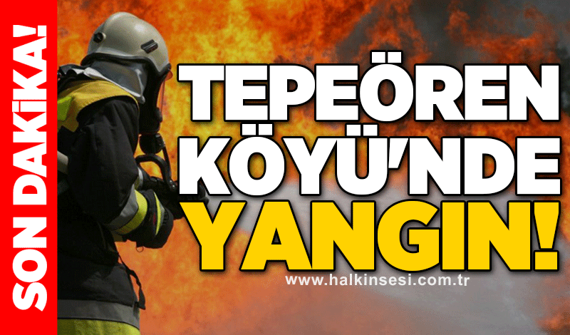 Tepeören Köyü'nde yangın!