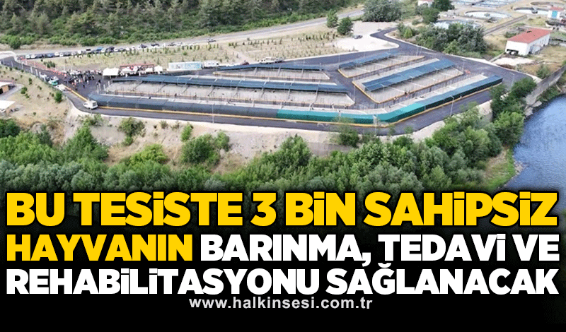 Bu tesiste 3 bin sahipsiz hayvanın barınma, tedavi ve rehabilitasyonu sağlanacak