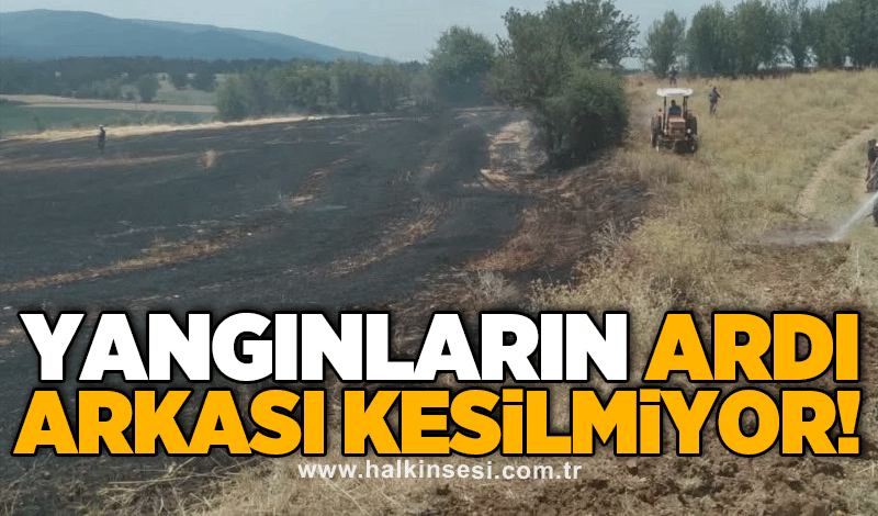 Yangınların ardı arkası kesilmiyor!
