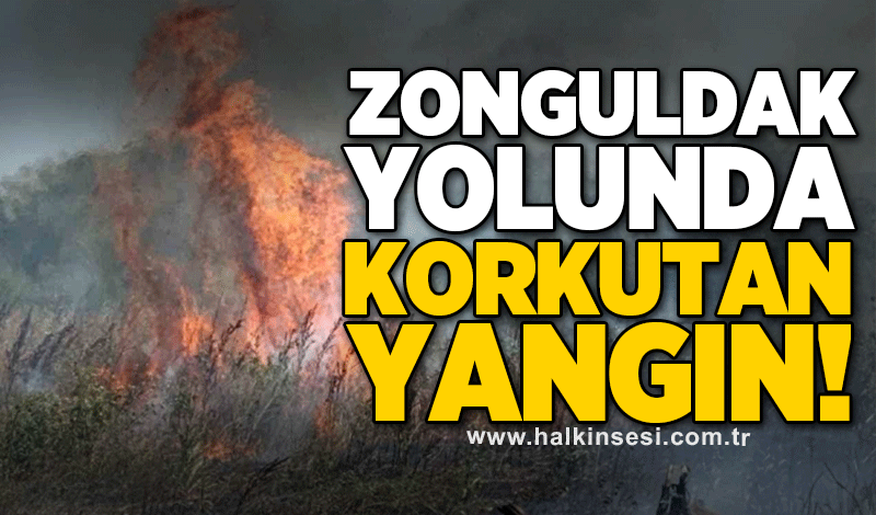 Zonguldak yolunda korkutan yangın!