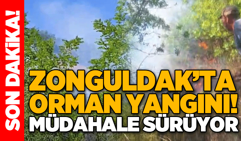 Zonguldak’ta orman yangını! Müdahale sürüyor