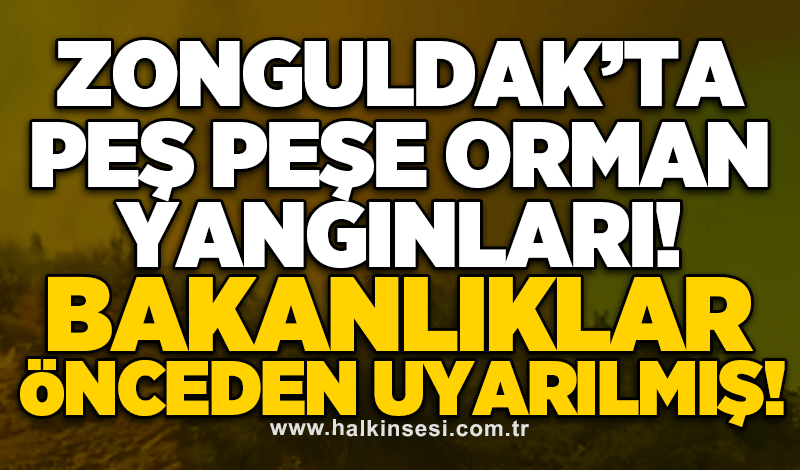 Zonguldak’ta peş peşe orman yangınları! Bakanlıklar önceden uyarılmış