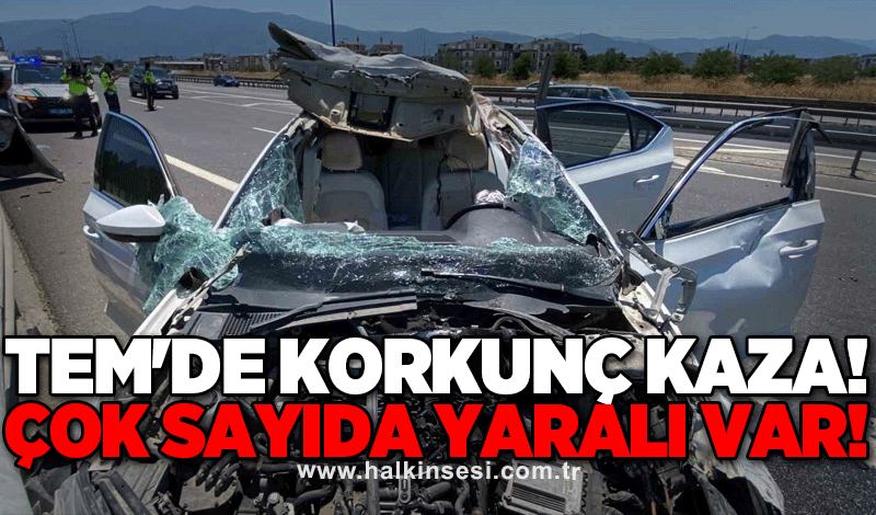 TEM'de korkunç kaza! Çok sayıda yaralı var!