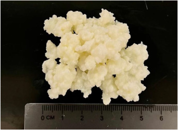 Whatsapp Image 2025 12 13 At 10.46.35