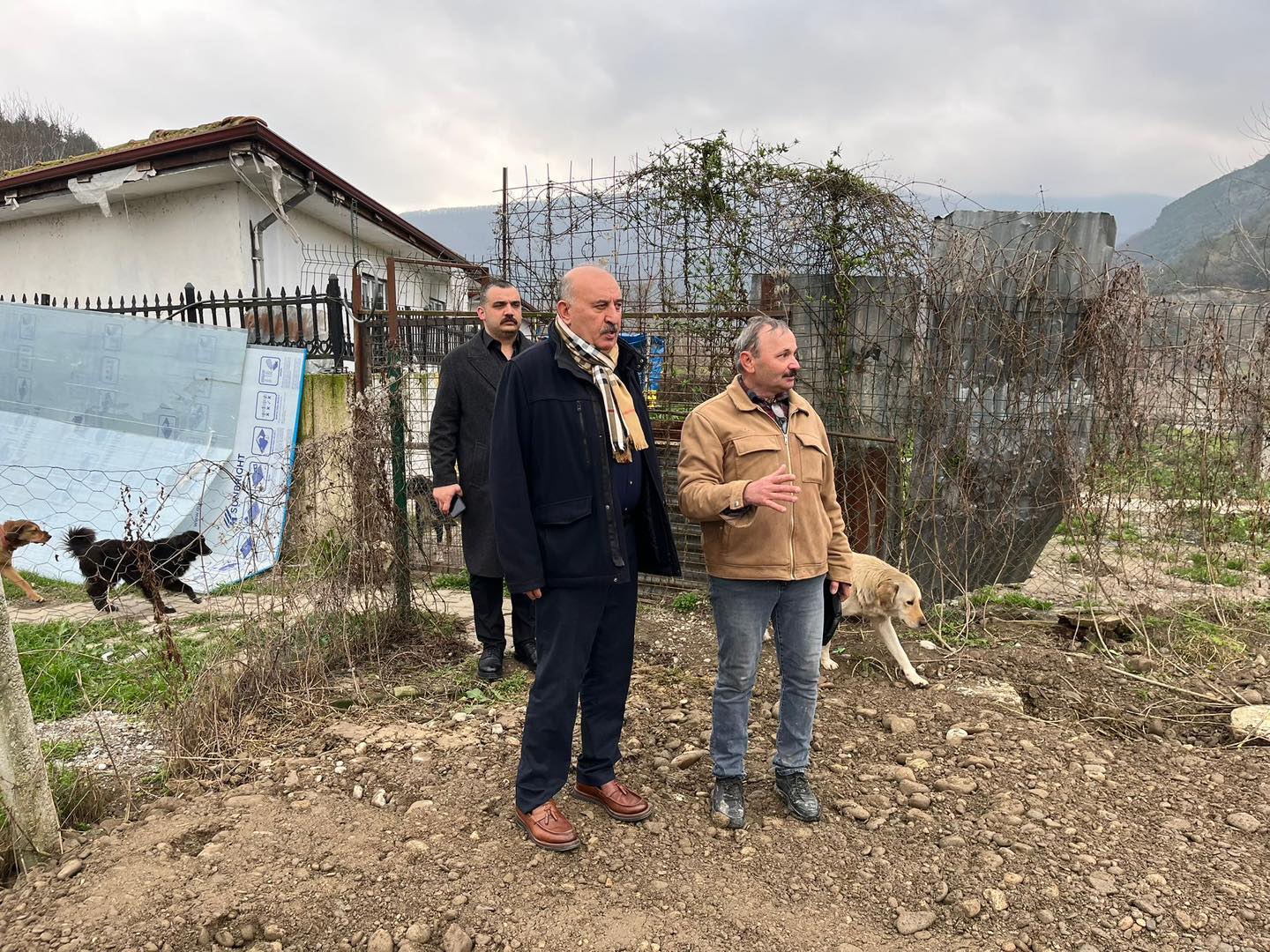 633762154 1360595552774103 492911476966010432 N