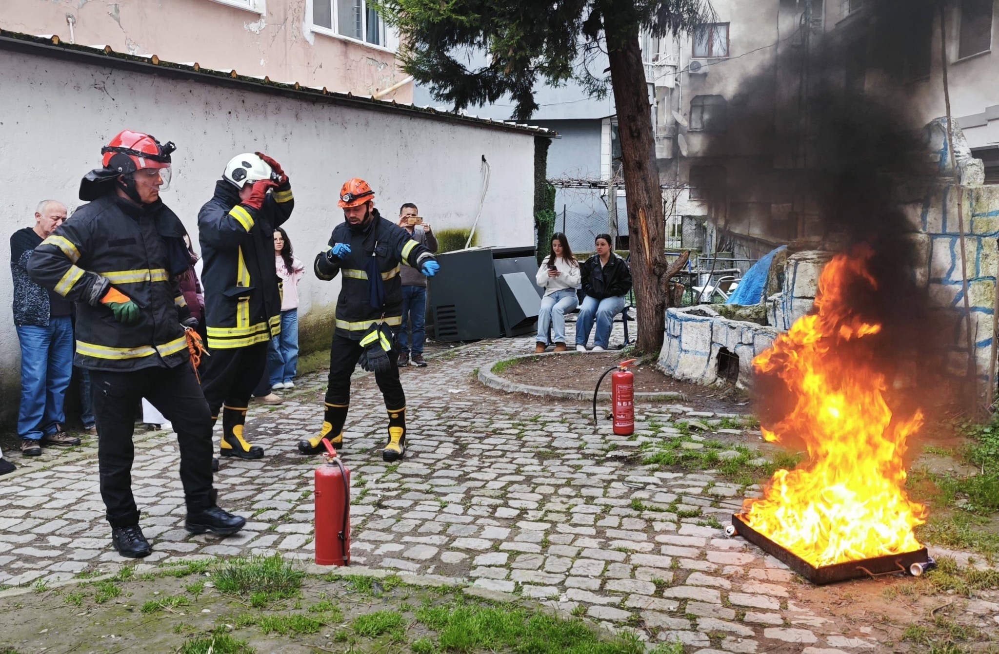 639149170 1333172188843572 1291563274808690279 N