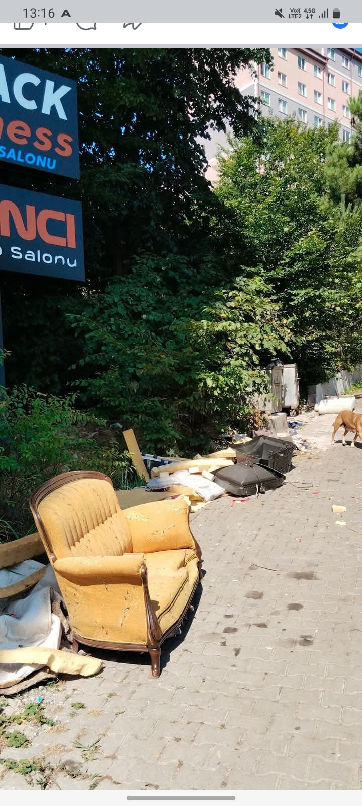 Whatsapp Image 2026 02 11 At 11.32.40