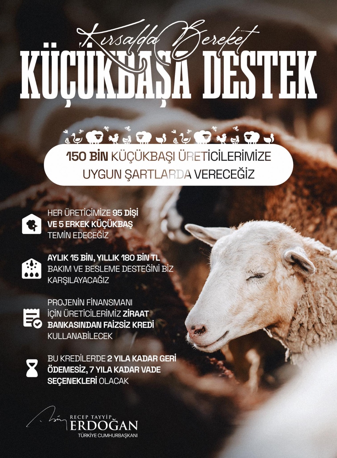 Whatsapp Image 2026 02 22 At 11.52.31