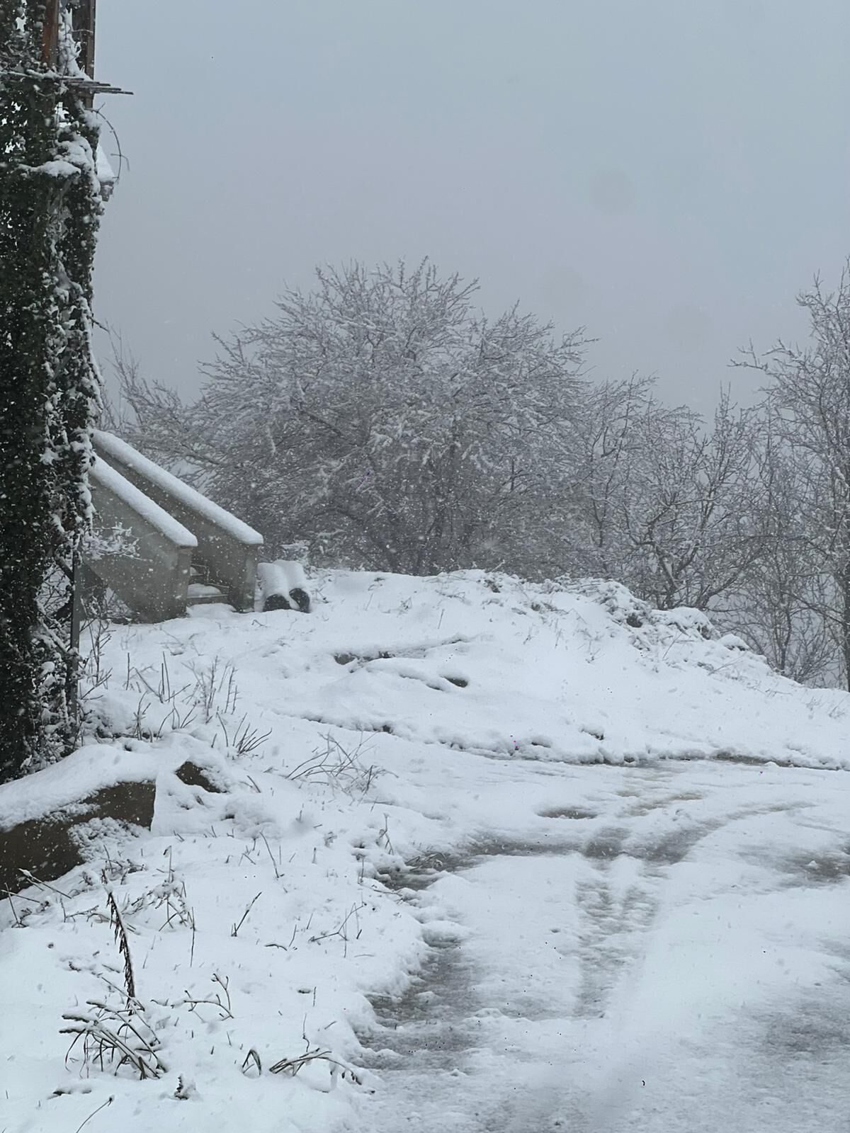 Whatsapp Image 2026 02 26 At 17.13.01