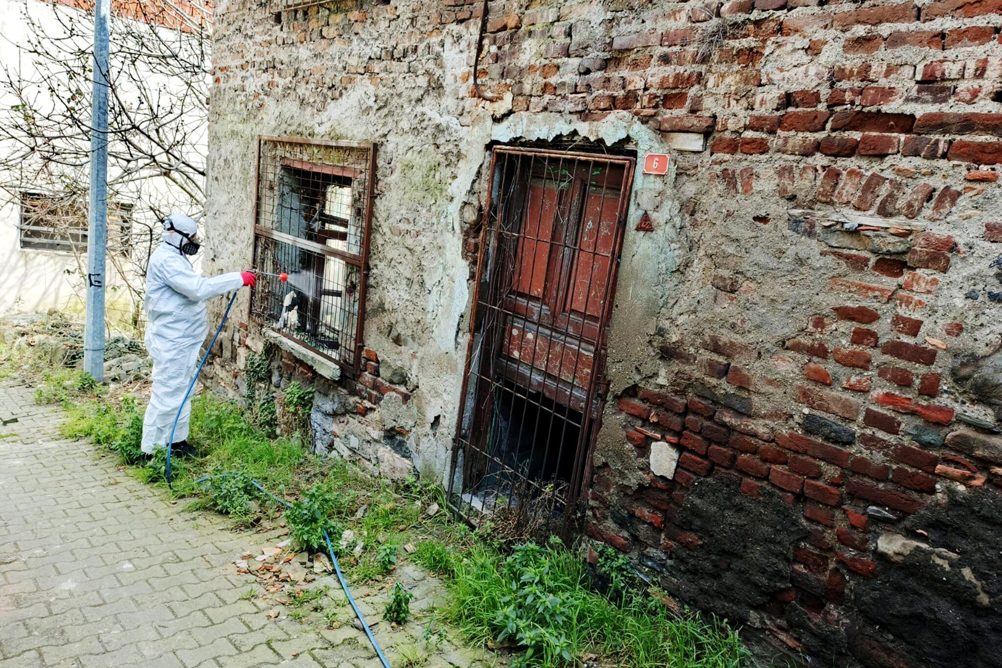 652454952 1508760287283384 461737423855851514 N