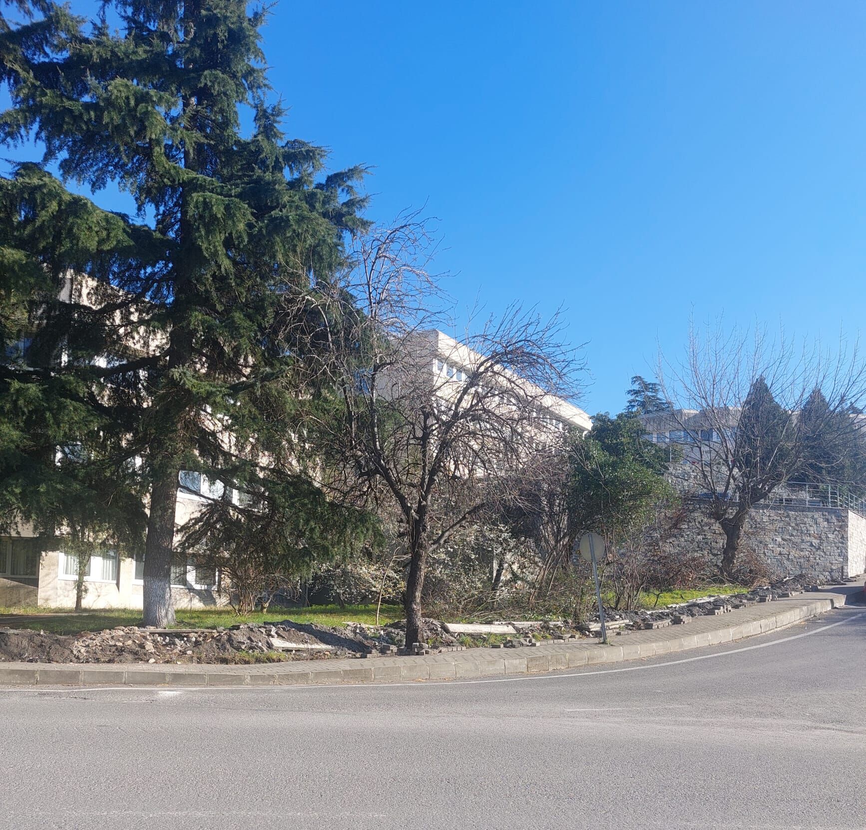 Whatsapp Image 2026 03 25 At 00.34.20 (1)