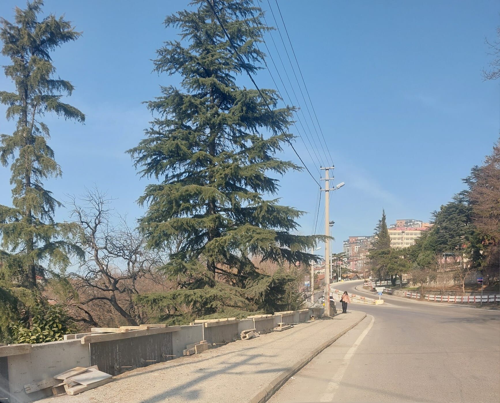 Whatsapp Image 2026 03 25 At 00.34.20