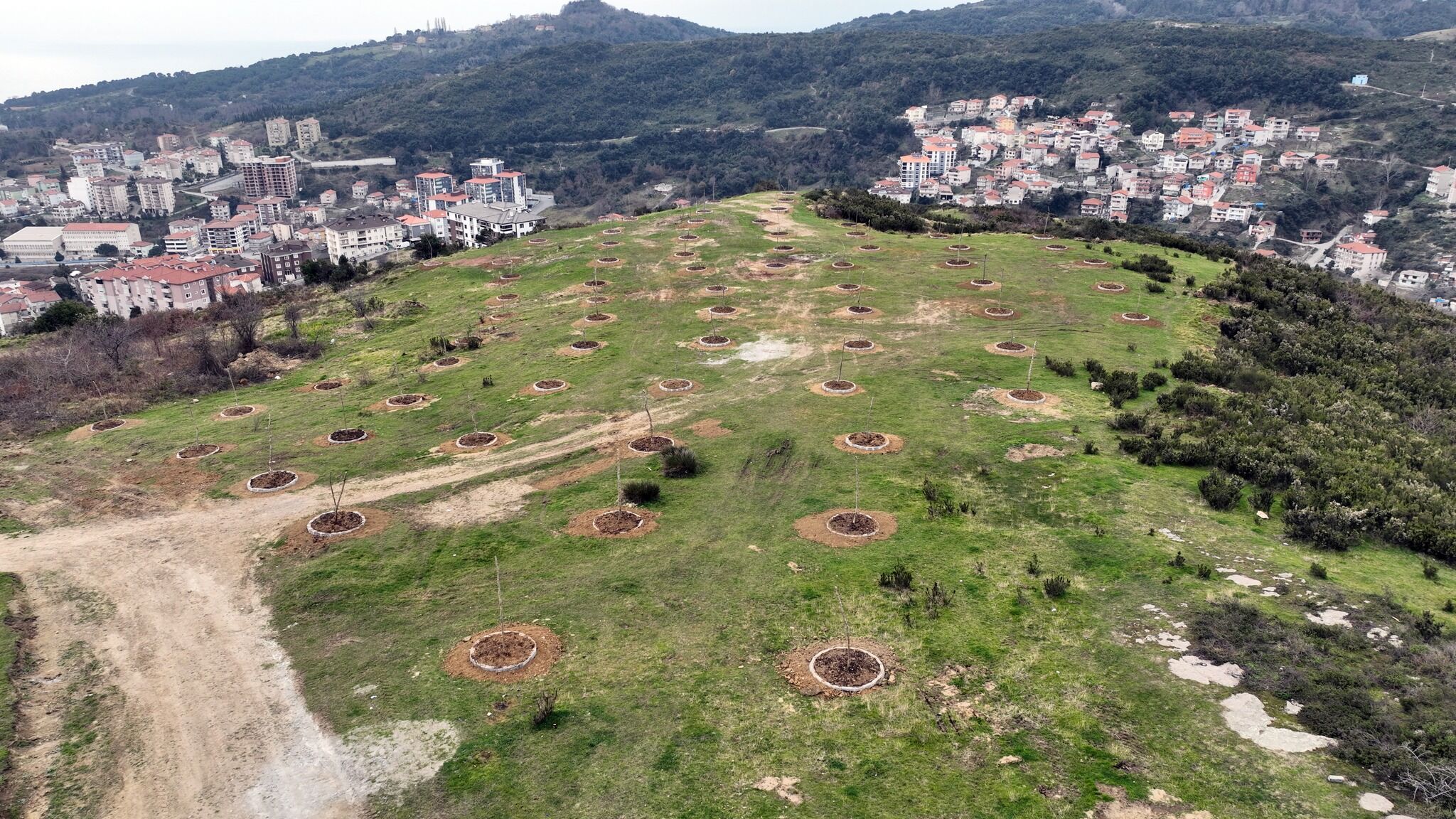 662585071 1525729215586491 899334693554043094 N