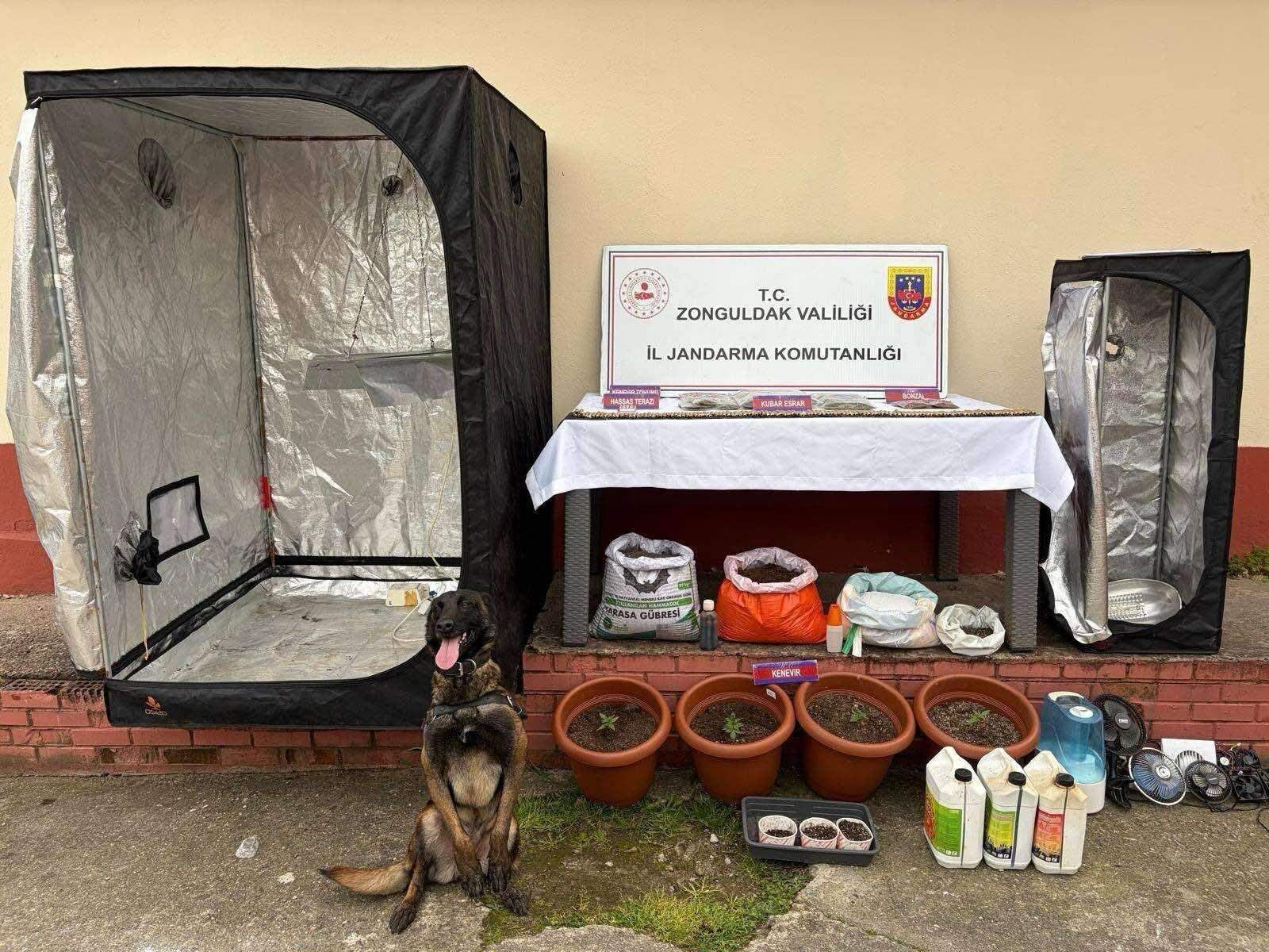 I M G 20260403 W A0034