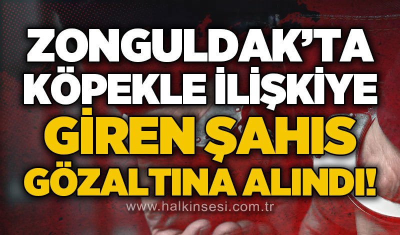 Zonguldak'ta köpekle ilişkiye girdiği iddia edilen şahıs gözaltına alındı!