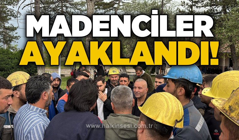 GMİS’ten Egetaş Kömür İşletmesi’nde hak mücadelesi açıklaması