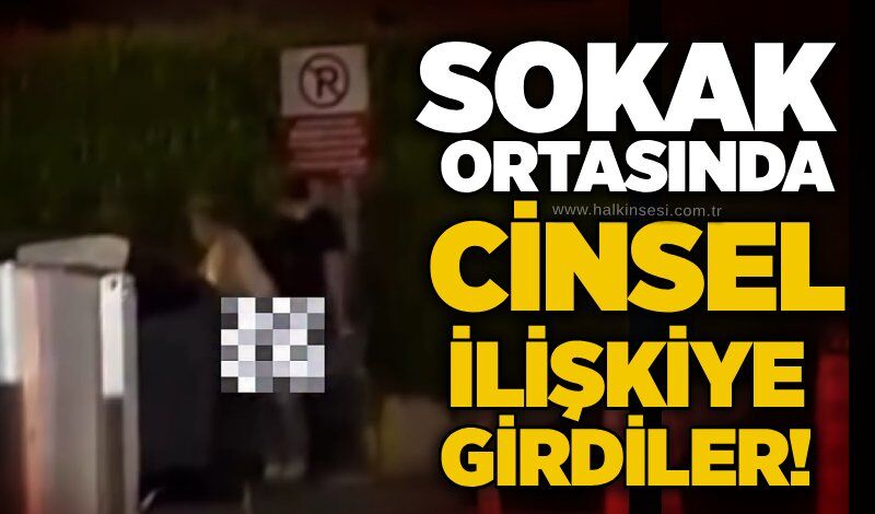 Sokak ortasında cinsel ilişkiye girdiler!