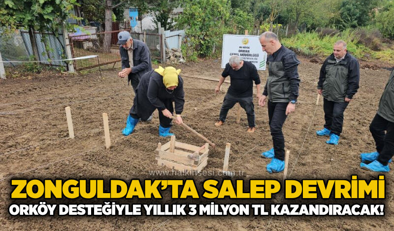 Zonguldak’ta salep devrimi: ORKÖY desteğiyle yıllık 3 milyon TL kazandıracak!
