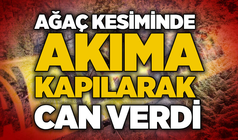Ağaç kesiminde akıma kapılarak can verdi