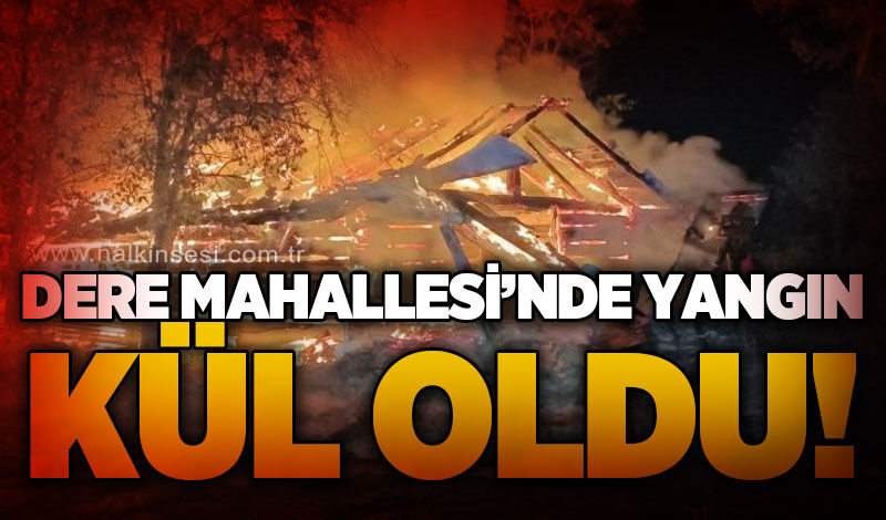 Dere Mahallesi'nde samanlık yangını: Gece alevlerle aydınlandı!