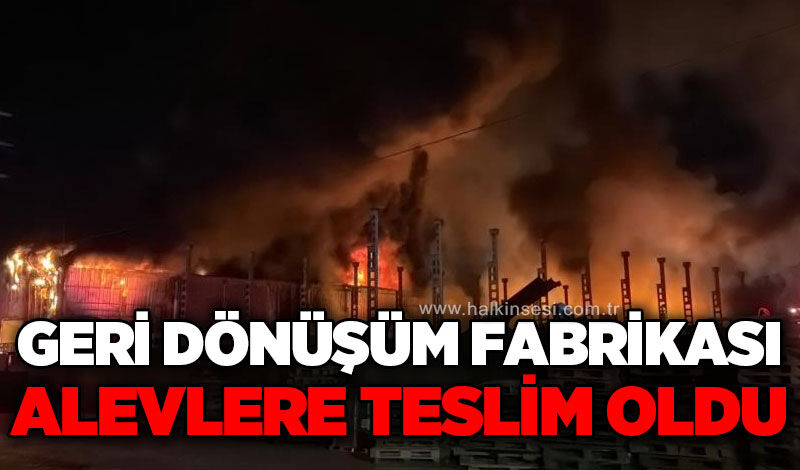 Geri dönüşüm fabrikasında yangın!