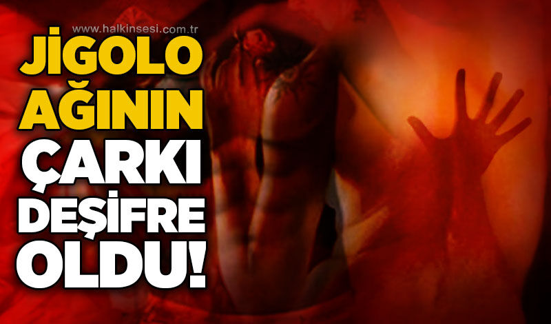 Jigolo ağının çarkı deşifre oldu!