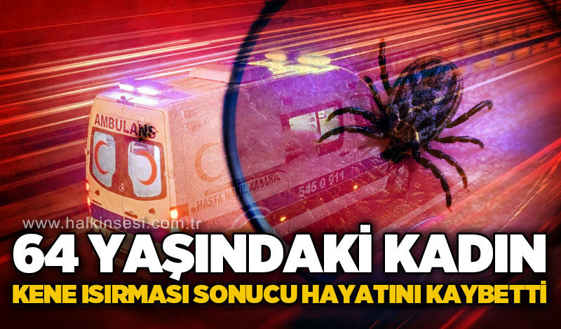 64 yaşındaki kadın kene ısırması sonucu yaşamını yitirdi!