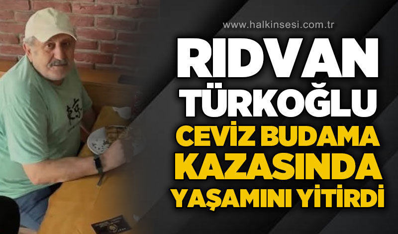 Zonguldak'ta ceviz ağacı budama kazası: 1 ölü, 1 yaralı