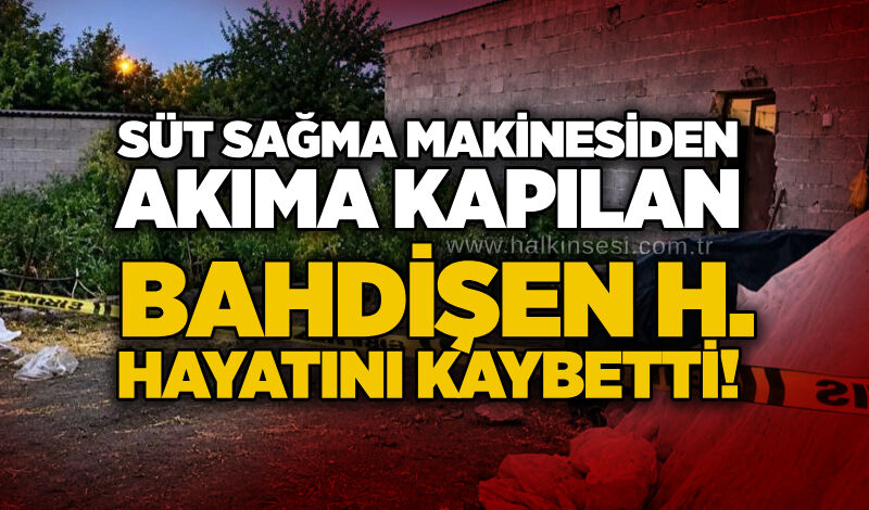 Süt sağma makinesinden akıma kapılan kadın hayatını kaybetti!