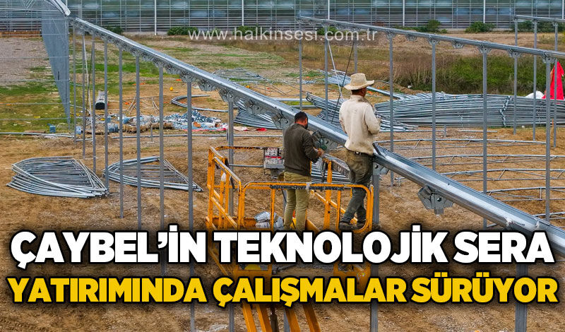 ÇAYBEL'in Teknolojik Sera projesinde çalışmalar hızla sürüyor