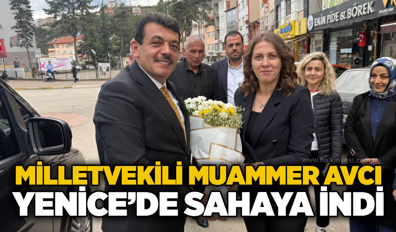 Milletvekili Muammer Avcı Yenice’de sahaya indi